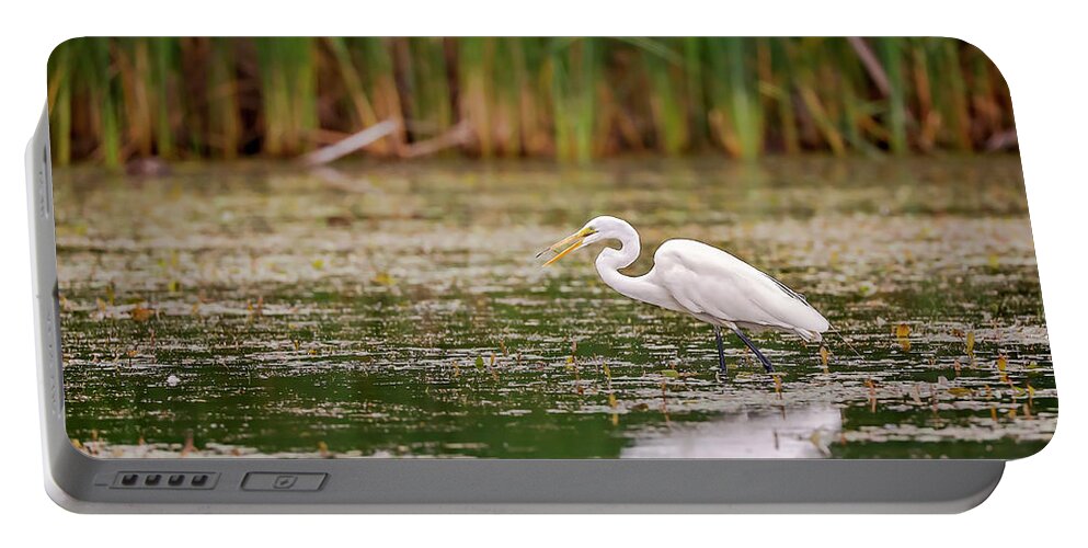 Animal Portable Battery Charger featuring the photograph White, Great Egret by Peter Lakomy