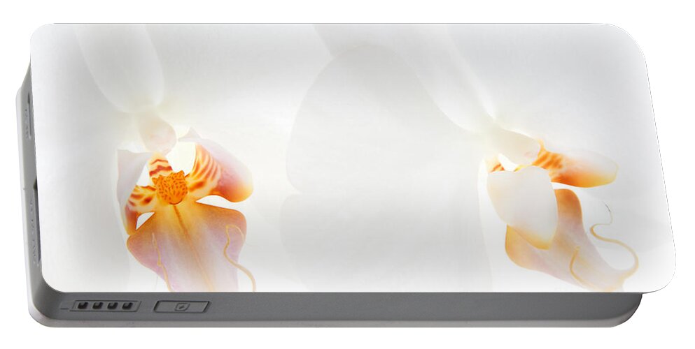 White Orchid Portable Battery Charger featuring the photograph White Orchids #1 by Ann Garrett
