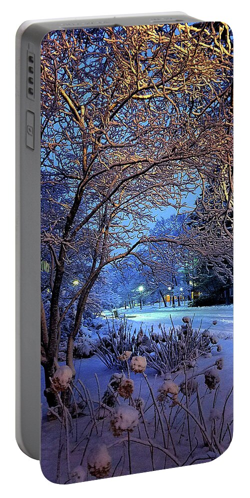 Winter Portable Battery Charger featuring the photograph Winter #1 by Phil Koch