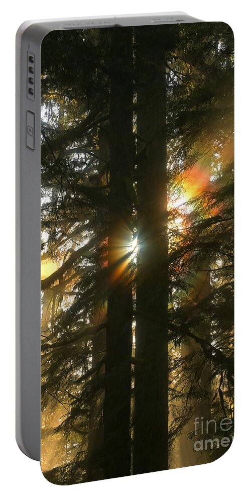 Sol Duc Portable Battery Charger featuring the photograph Rainforest Rainbow by Adam Jewell