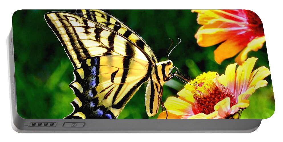 Nature Portable Battery Charger featuring the photograph Yellow Butterfly on Flower #1 by Amy McDaniel