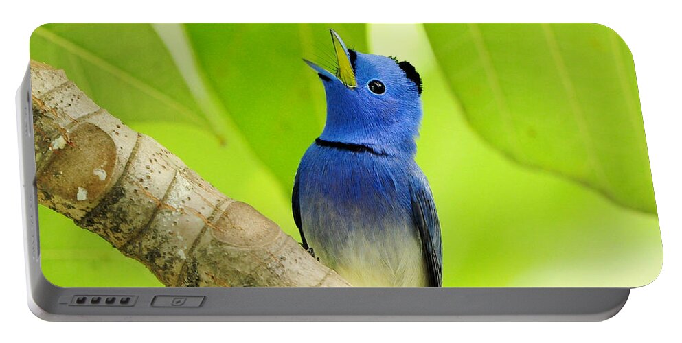 Bird Portable Battery Charger featuring the photograph Bird #10 by Jackie Russo
