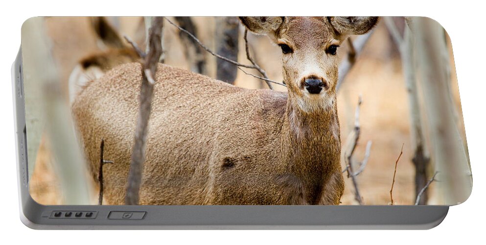 Deer Portable Battery Charger featuring the photograph Mule Deer in the Pike National Forest #10 by Steven Krull