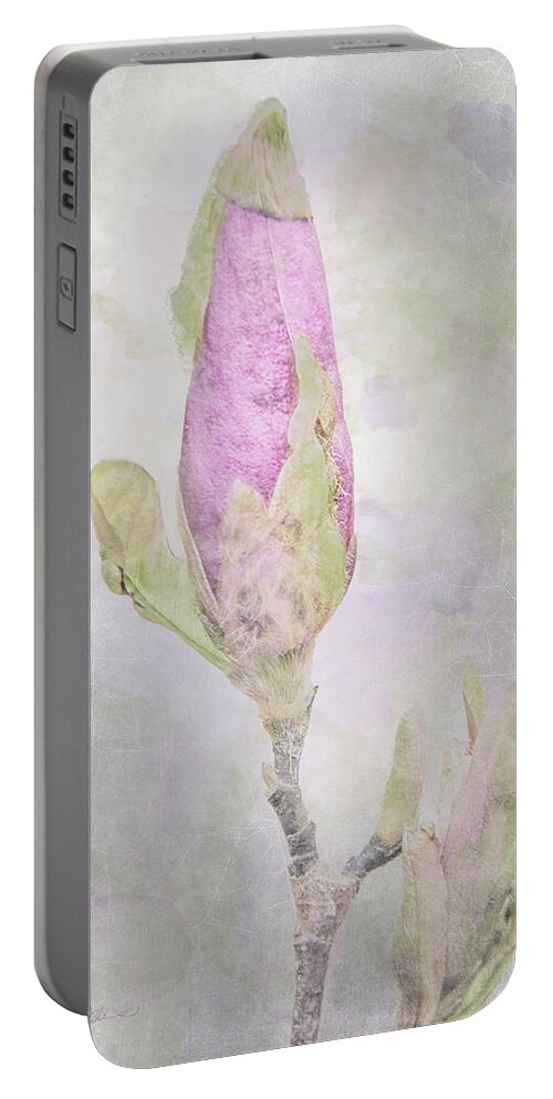 Flower Portable Battery Charger featuring the mixed media 10882 About to Bloom by Pamela Williams