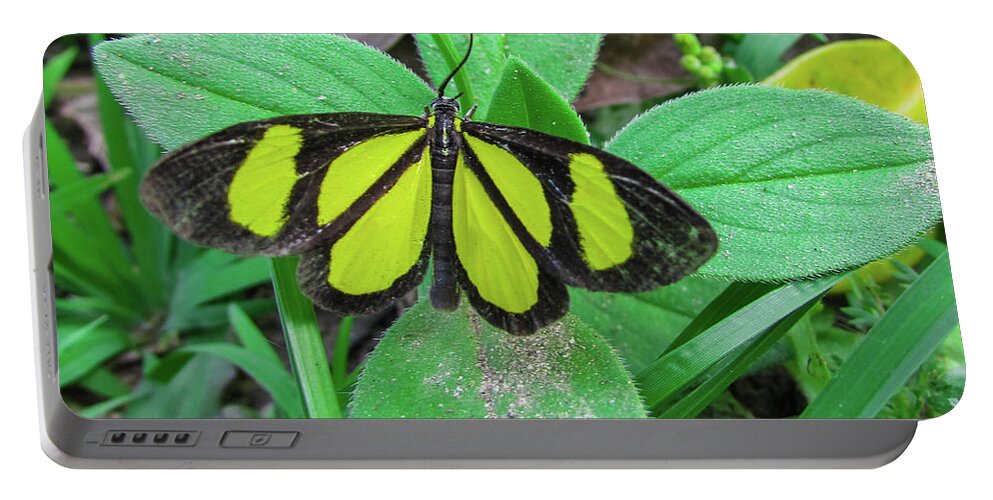 Butterfly Portable Battery Charger featuring the photograph Butterfly #11 by Cesar Vieira
