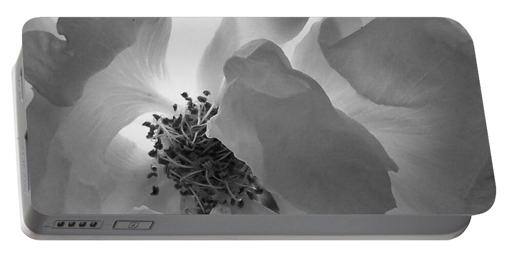 Rose Portable Battery Charger featuring the photograph Roses #11 by Sylvie Leandre