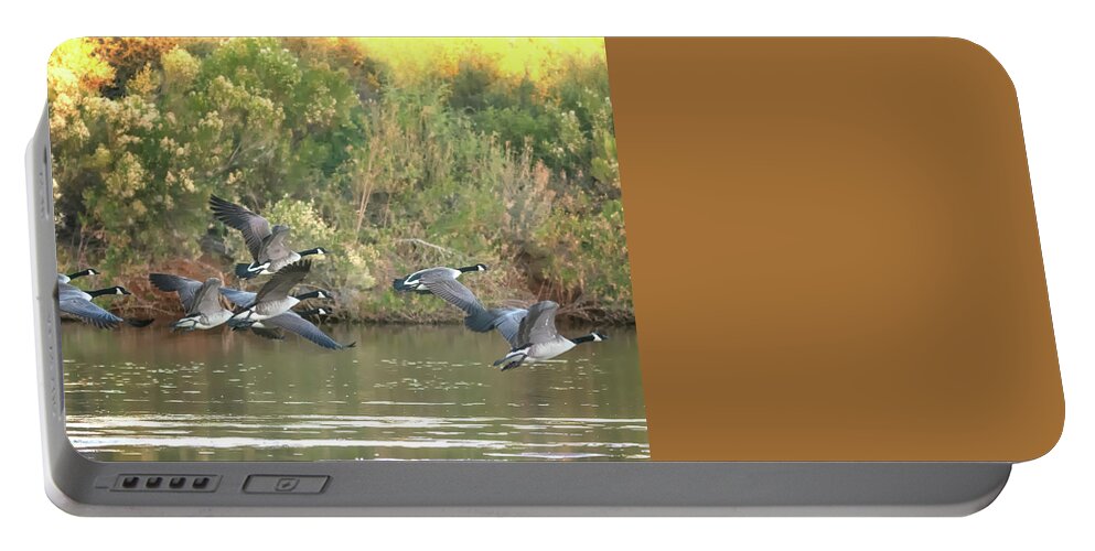 Canda Portable Battery Charger featuring the photograph Canada Geese #16 by Tam Ryan