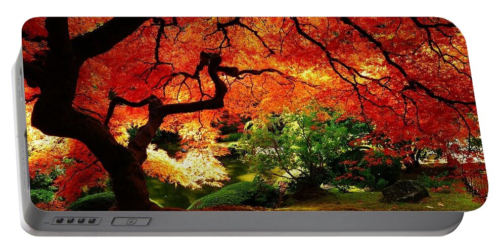 Fall Portable Battery Charger featuring the photograph Fall #13 by Mariel Mcmeeking