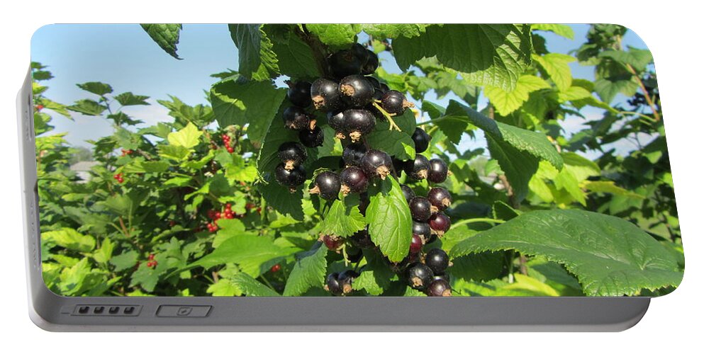 Berry Portable Battery Charger featuring the photograph Berry #14 by Mariel Mcmeeking