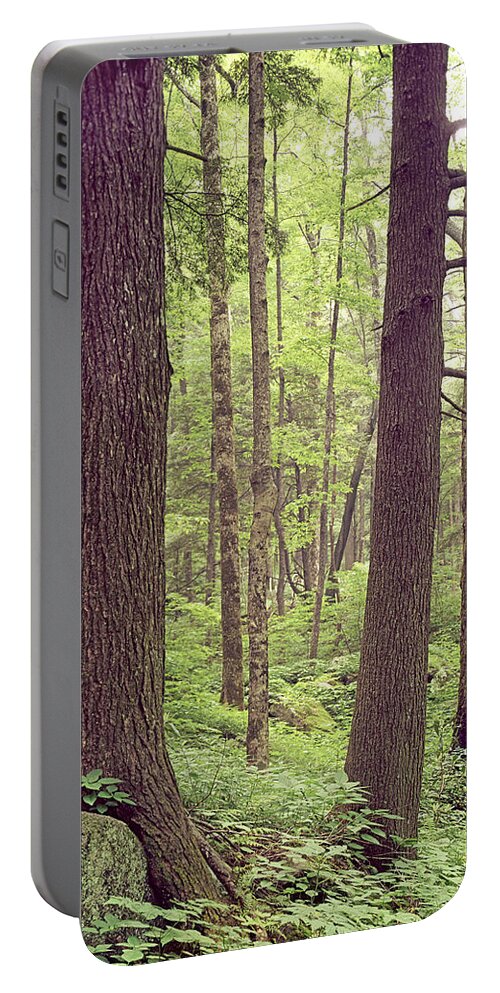 Mature Forest Portable Battery Charger featuring the photograph 145926 Mature Forest GSMNP by Ed Cooper Photography