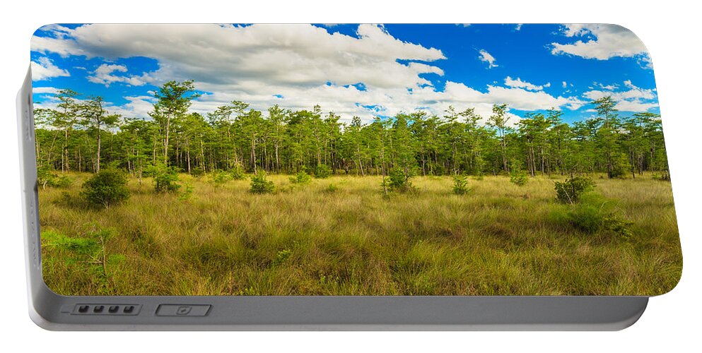 Everglades Portable Battery Charger featuring the photograph Florida Everglades #15 by Raul Rodriguez