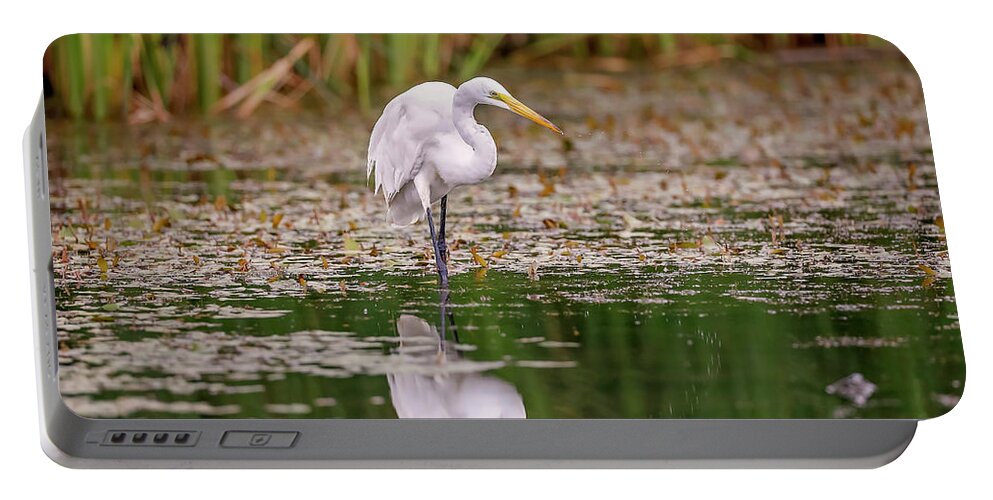 Animal Portable Battery Charger featuring the photograph White, Great Egret #16 by Peter Lakomy