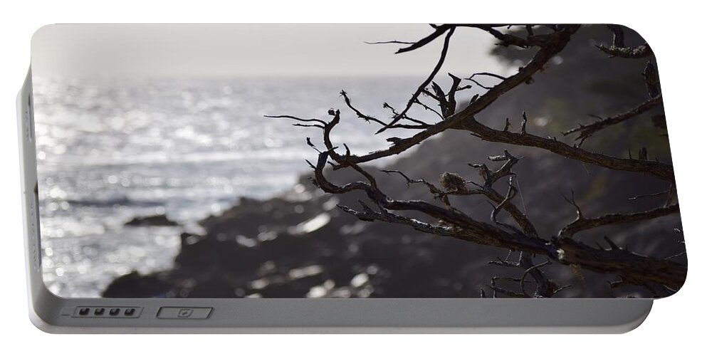 17 Mile Drive Portable Battery Charger featuring the photograph 17 Mile Drive by Sandy Taylor