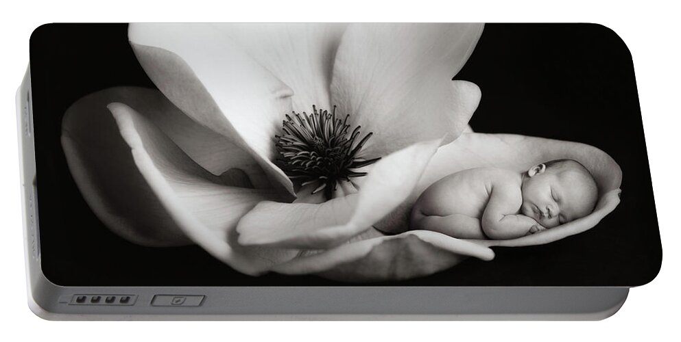 Black And White Portable Battery Charger featuring the photograph Violet in a Magnolia by Anne Geddes