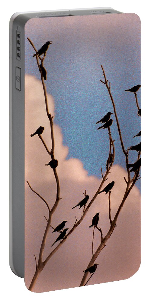 Birds Portable Battery Charger featuring the photograph 19 Blackbirds by Steve Karol