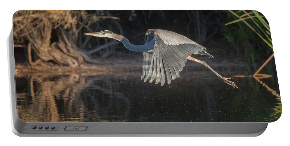 Great Portable Battery Charger featuring the photograph Great Blue Heron #19 by Tam Ryan