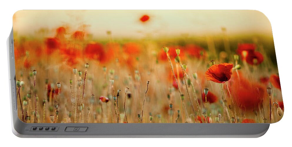 Poppy Portable Battery Charger featuring the photograph Summer Poppy Meadow #19 by Nailia Schwarz