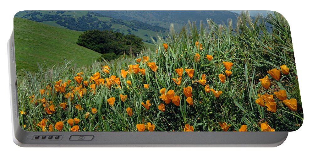 Mt. Diablo Portable Battery Charger featuring the photograph 1A6493 Mt. Diablo and Poppies by Ed Cooper Photography