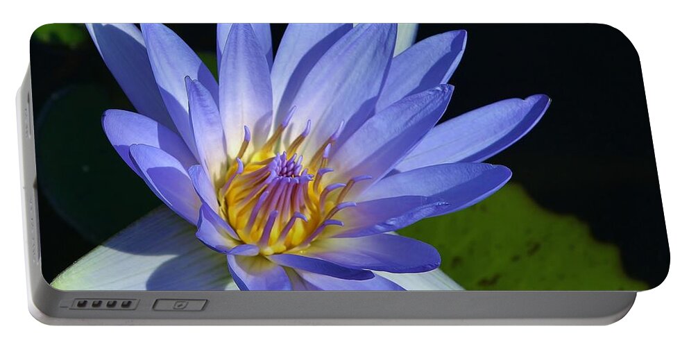 Nature Portable Battery Charger featuring the photograph Afternoon Delight #3 by Bruce Bley
