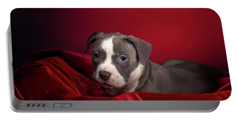 Adorable Portable Battery Charger featuring the photograph American Pitbull Puppy #2 by Peter Lakomy