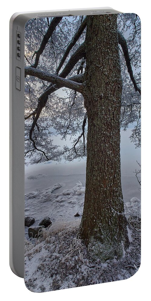 Finland Portable Battery Charger featuring the photograph Arboretum winter #2 by Jouko Lehto