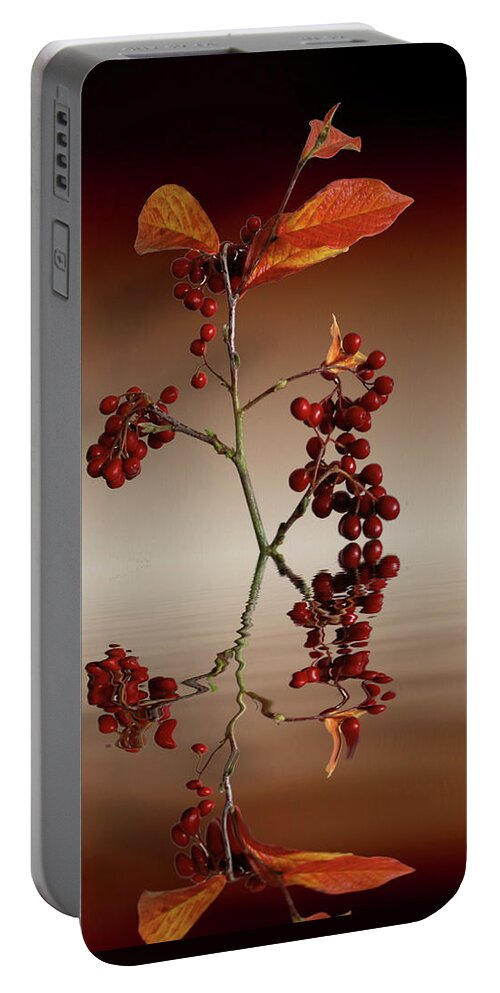 Leafs Portable Battery Charger featuring the photograph Autumn leafs and red berries #2 by David French