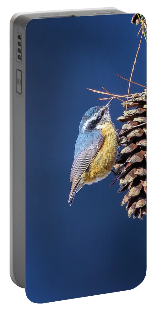 Adorable Portable Battery Charger featuring the photograph Black-capped Chickadee by Peter Lakomy