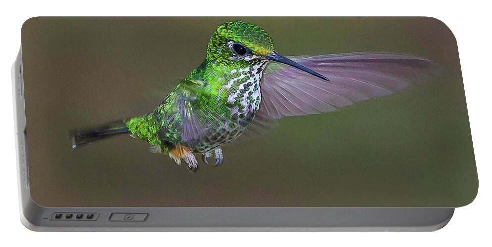 2015 Portable Battery Charger featuring the photograph Booted Racket-tail #1 by Jean-Luc Baron