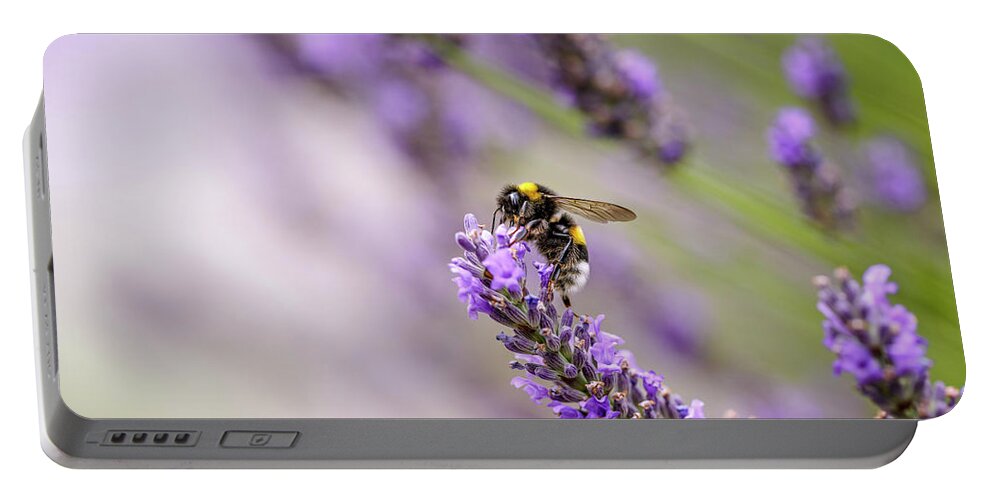 Lavender Portable Battery Charger featuring the photograph Bumblebee and Lavender by Nailia Schwarz