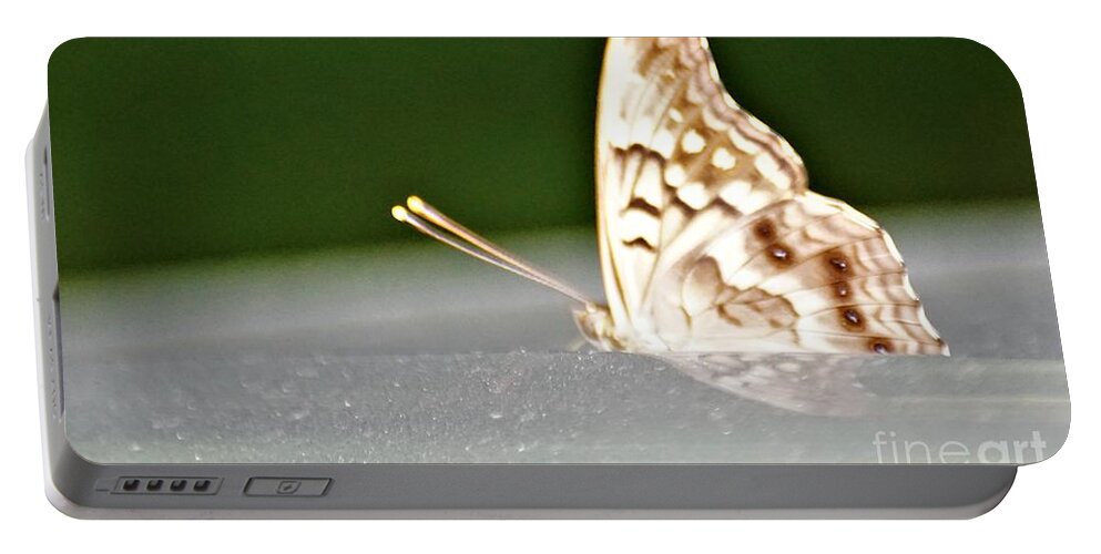 Butterflies Portable Battery Charger featuring the photograph Butterfly on my car5 by Merle Grenz