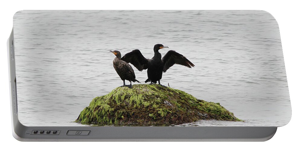 Cormorants Portable Battery Charger featuring the photograph Cormorants Port Jefferson New York #2 by Bob Savage