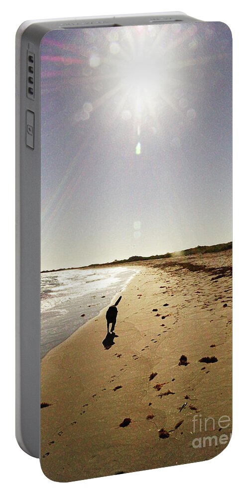 Dog Portable Battery Charger featuring the photograph Dog Beach #2 by Cassandra Buckley