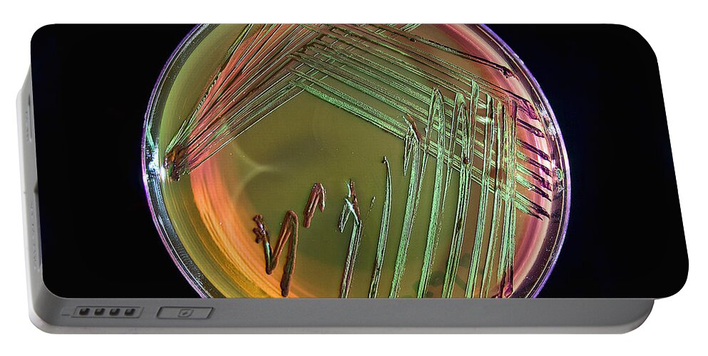 Science Portable Battery Charger featuring the photograph E. Coli In Culture Dish, Macro Image #2 by Rubn Duro/BioMEDIA ASSOCIATES LLC