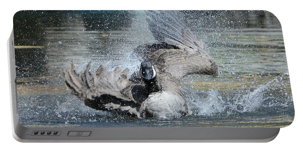 Canada Goose Portable Battery Charger featuring the photograph Splash Pad by Fraida Gutovich
