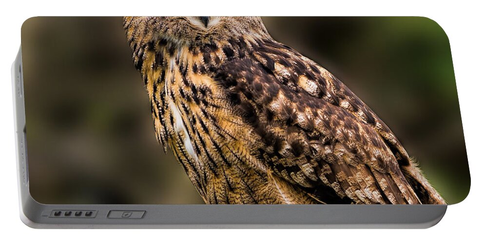 Birds Portable Battery Charger featuring the photograph Eurasian Eagle Owl perched on a post by Les Palenik