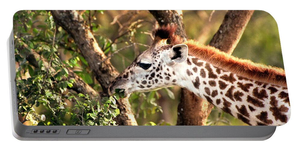 Giraffe Portable Battery Charger featuring the photograph Giraffe #2 by Sebastian Musial