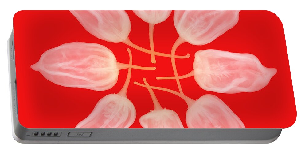 Science Portable Battery Charger featuring the photograph Habanero Chili Peppers, X-ray #2 by Ted Kinsman