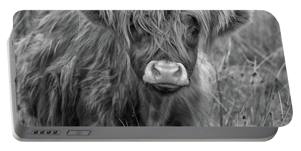 Cow Portable Battery Charger featuring the photograph Highland Cow #2 by Martin Newman