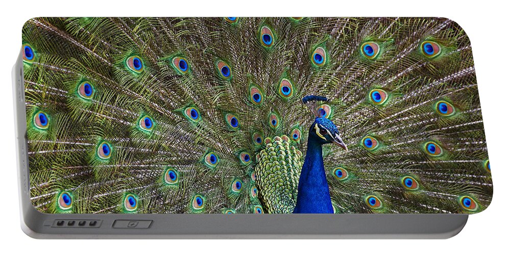 00176459 Portable Battery Charger featuring the photograph Indian Peafowl Male With Tail Fanned #2 by Tim Fitzharris
