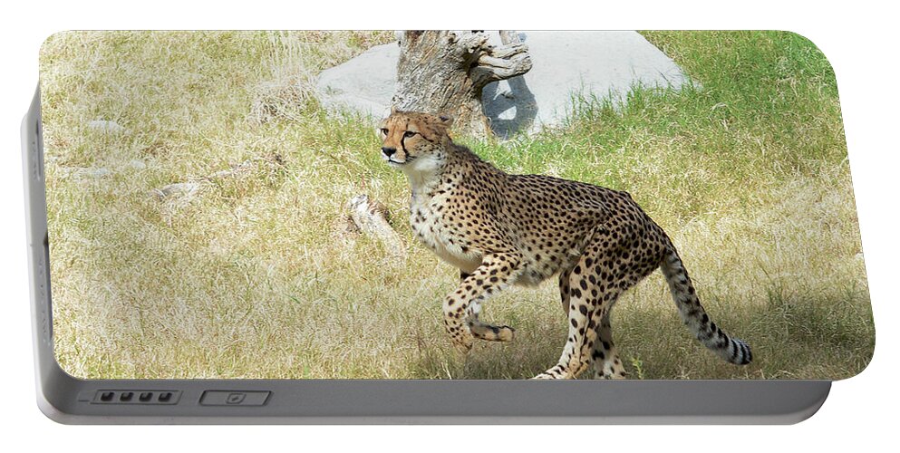Cheetah Portable Battery Charger featuring the photograph Jump #2 by Fraida Gutovich