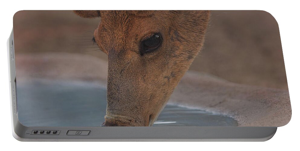 Animal Portable Battery Charger featuring the photograph Mule Deer #2 by Brian Cross