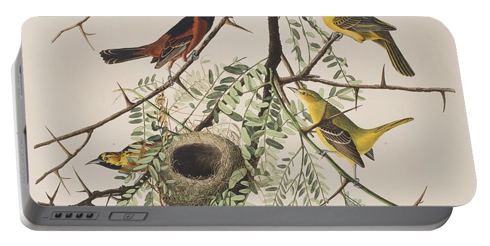 Oriole Portable Battery Charger featuring the painting Orchard Oriole by John James Audubon