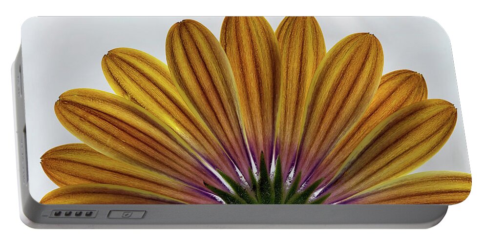 Bloom Portable Battery Charger featuring the photograph Osteospermum The Cape Daisy #2 by Shirley Mitchell