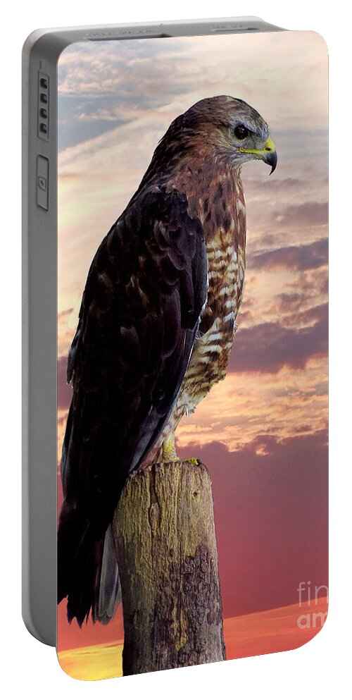 Peregrine Portable Battery Charger featuring the photograph Peregrine Falcon #3 by Lynn Bolt