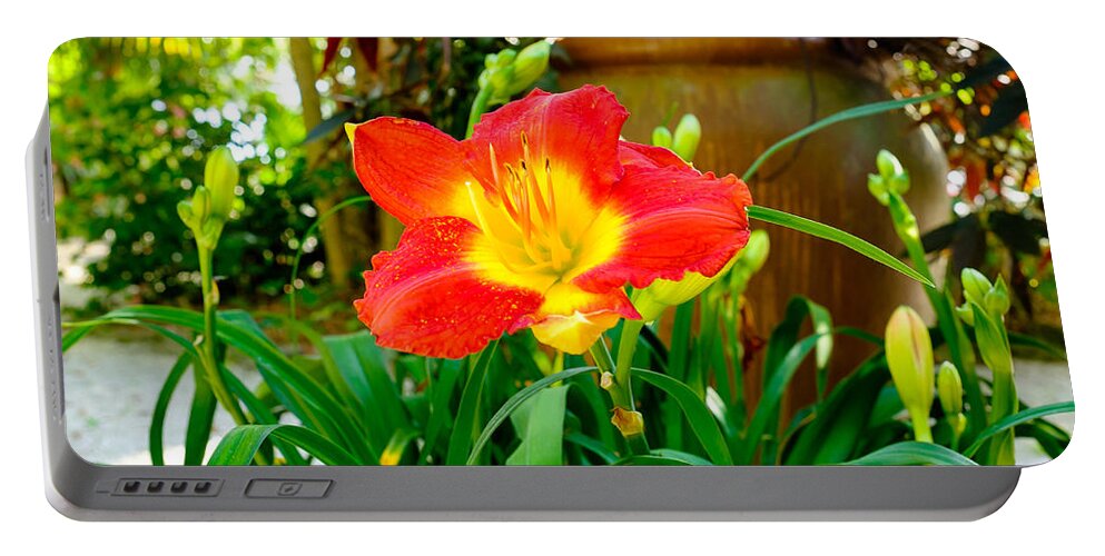 Beautiful Portable Battery Charger featuring the photograph Pretty flower by Raul Rodriguez