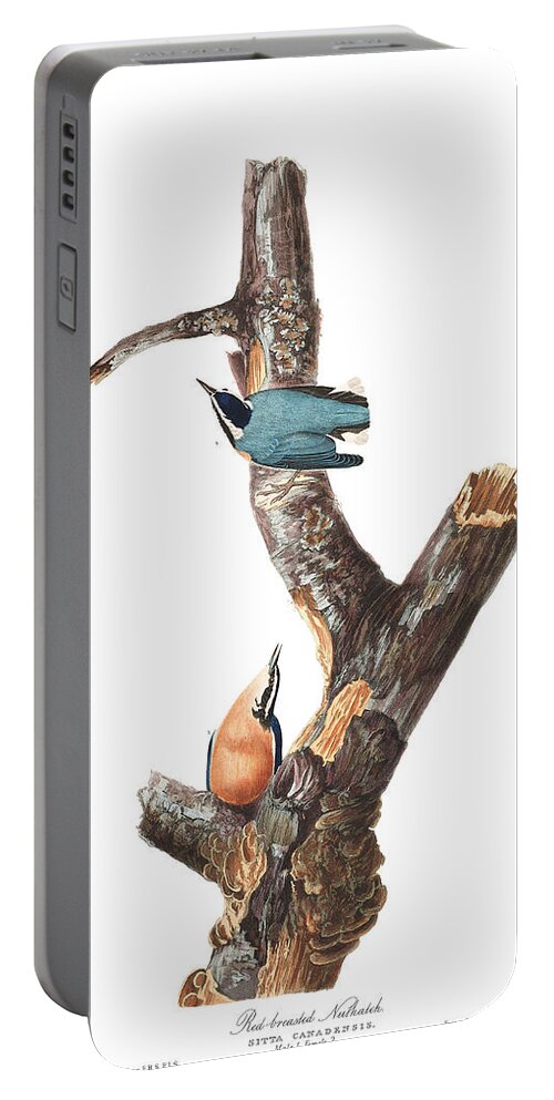 Red-breasted Nuthatch Portable Battery Charger featuring the painting Red-breasted Nuthatch #2 by John James Audubon