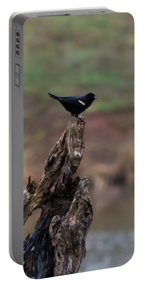 Jan Portable Battery Charger featuring the photograph Red-Winged Blackbird by Holden The Moment