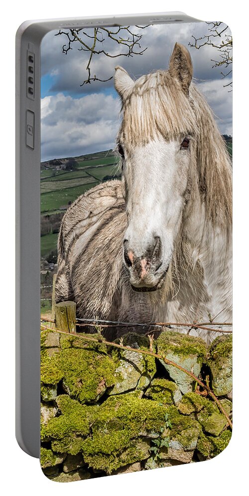 Birds & Animals Portable Battery Charger featuring the photograph Rustic Horse #2 by Nick Bywater