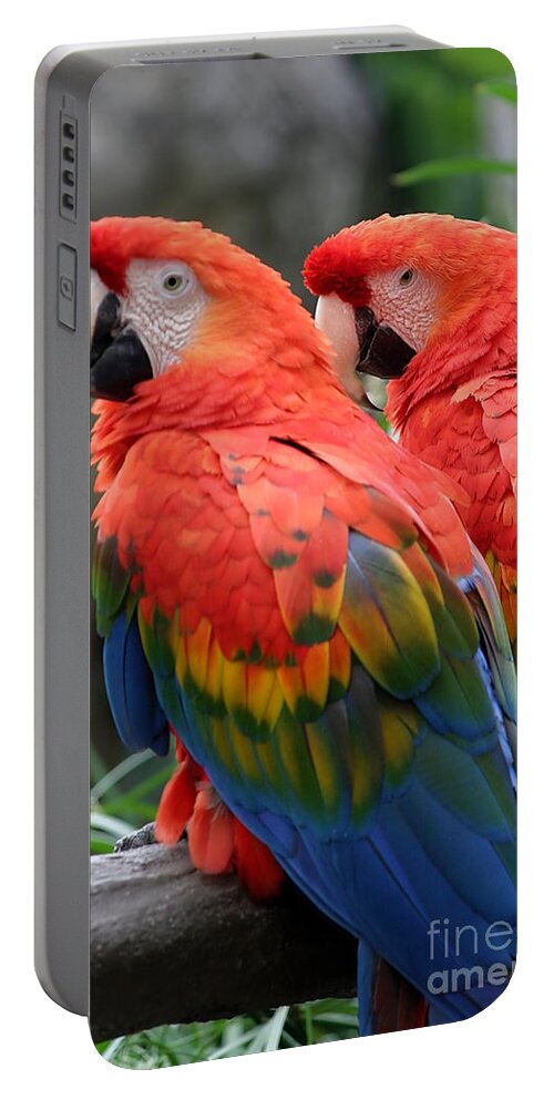 Red Portable Battery Charger featuring the photograph Scarlet Macaw #2 by Henrik Lehnerer