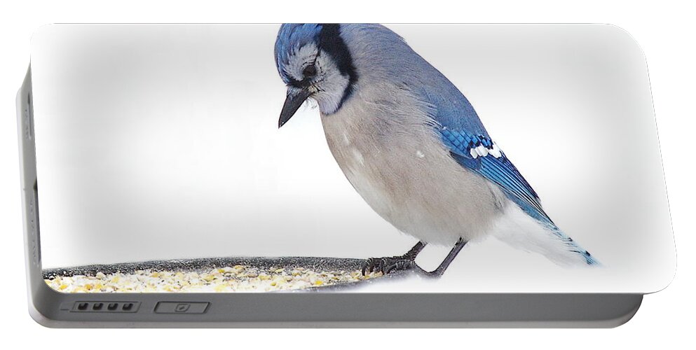 Blue Jay Portable Battery Charger featuring the photograph Sitting Pretty #1 by Andrea Kollo